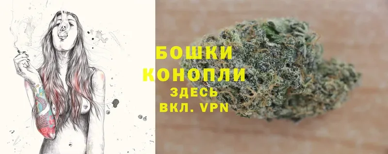 Шишки марихуана THC 21%  Владикавказ 